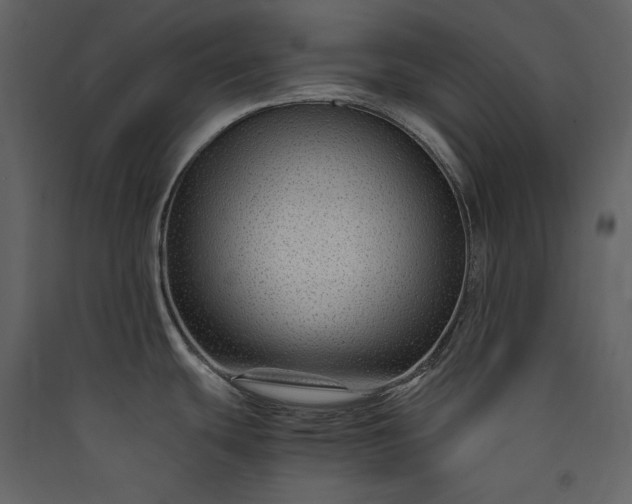 X0000089951439200707131506