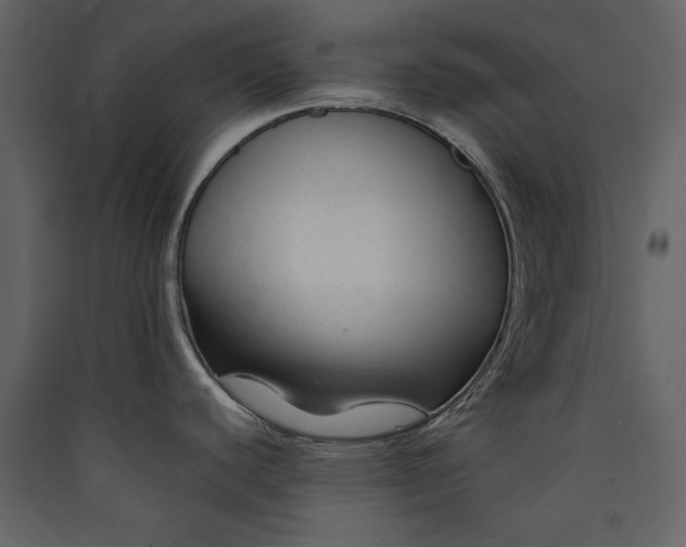 X0000089951440200707131506