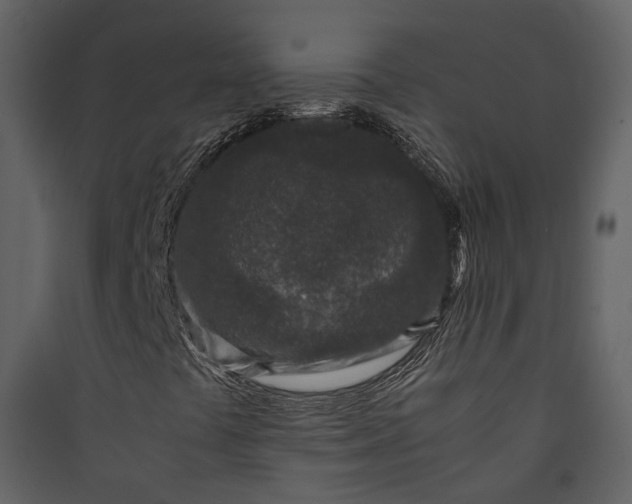 X0000089951441200707131506