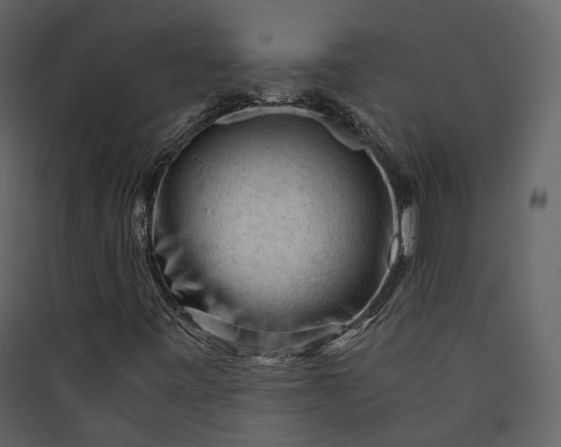 X0000089951443200707131506