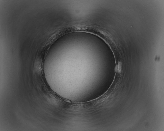 X0000089951444200707131506