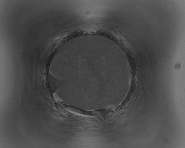 X0000089951445200707131506