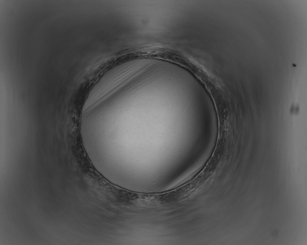 X0000089951447200707131506