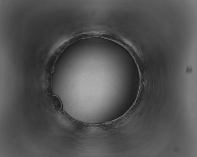 X0000089951448200707131506