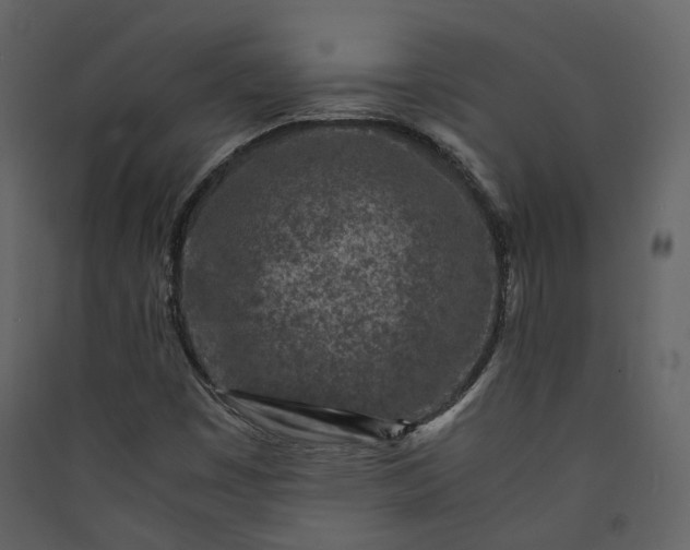 X0000089951449200707131505