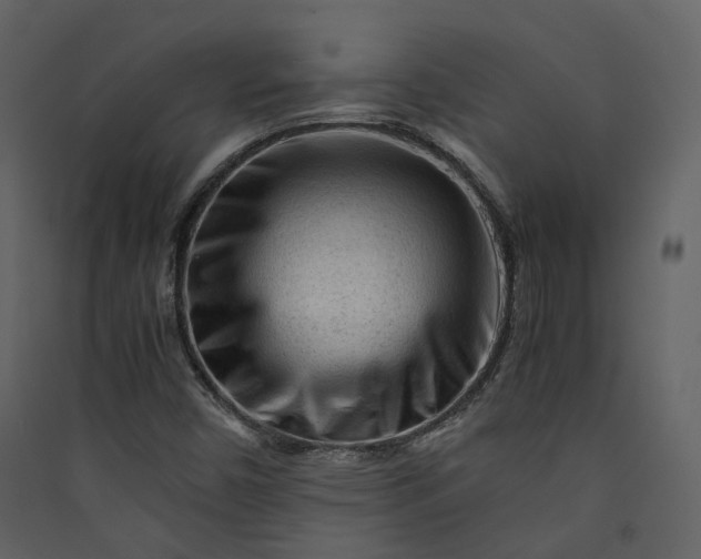 X0000089951450200707131505