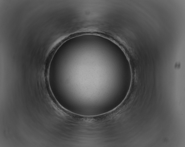 X0000089951452200707131505