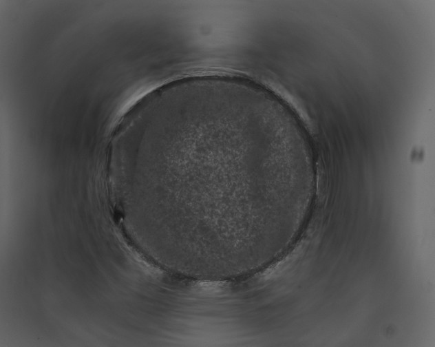 X0000089951453200707131505