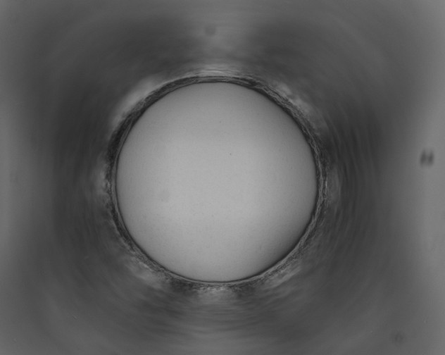 X0000089951454200707131505