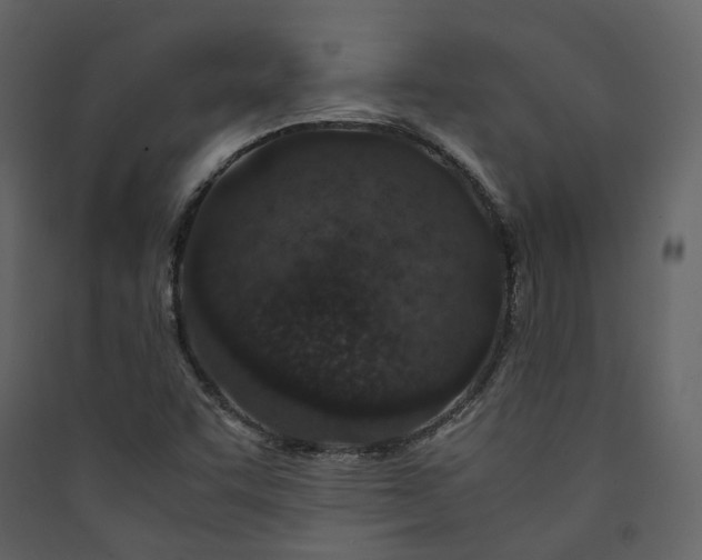 X0000089951455200707131505