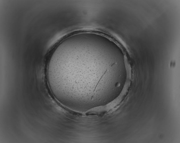 X0000089951456200707131505