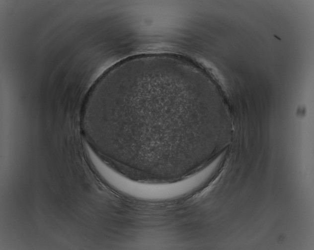 X0000089951457200707131505