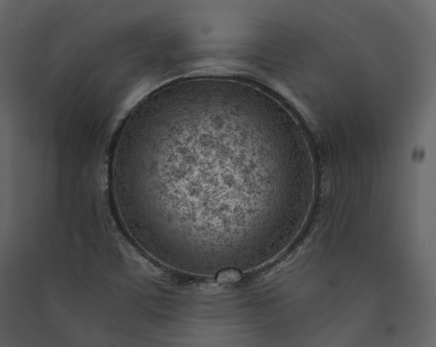 X0000089951459200707131505