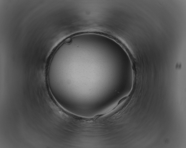 X0000089951460200707131505