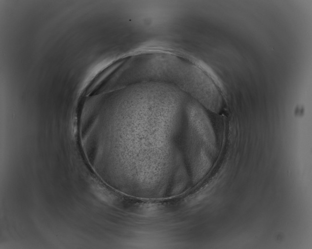 X0000089951461200707131505