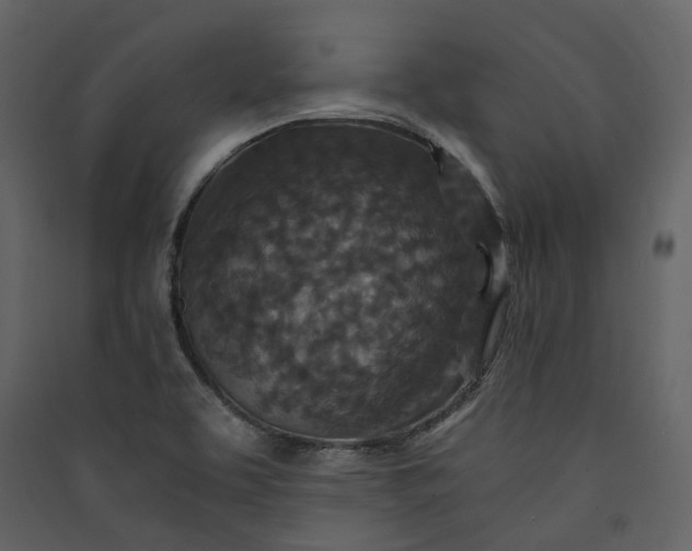 X0000089951463200707131505