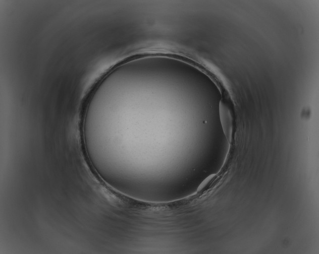 X0000089951464200707131505