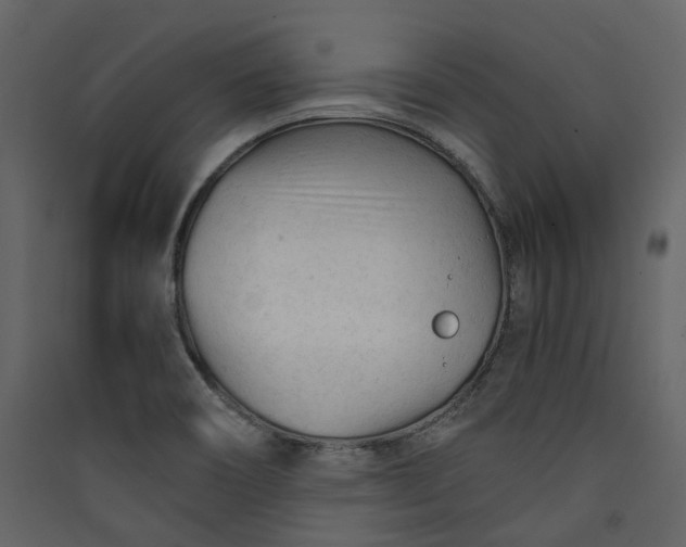 X0000089951466200707131505
