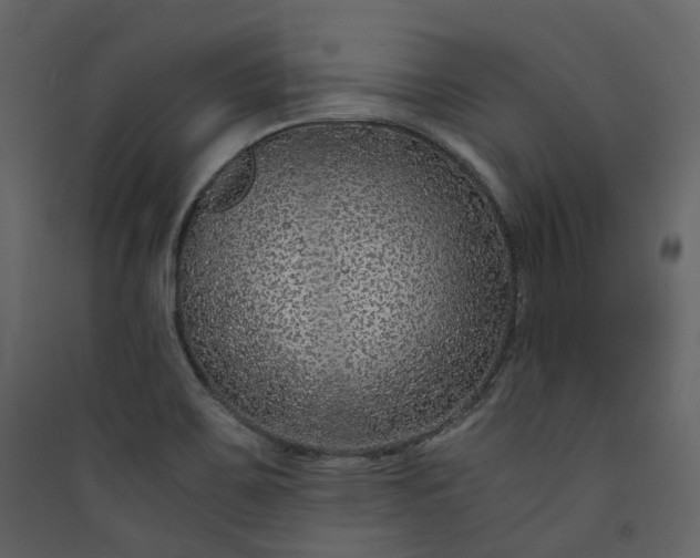X0000089951467200707131505