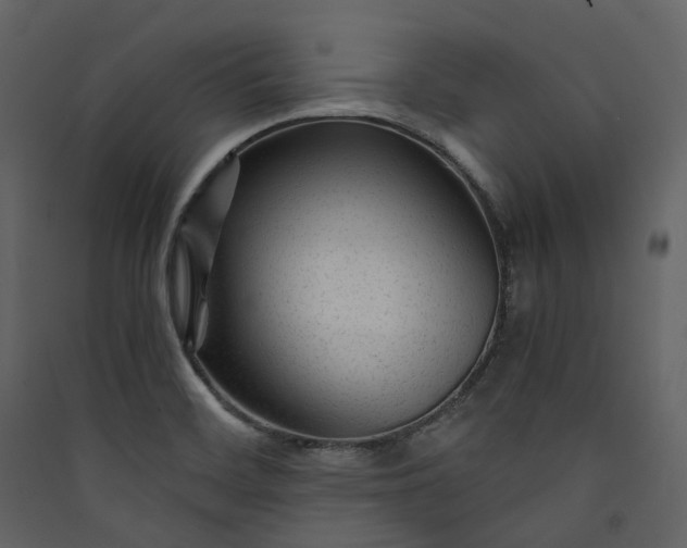 X0000089951468200707131505
