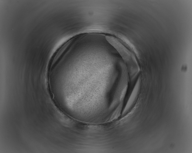 X0000089951469200707131505