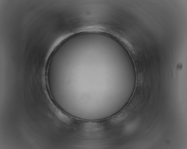 X0000089951470200707131505