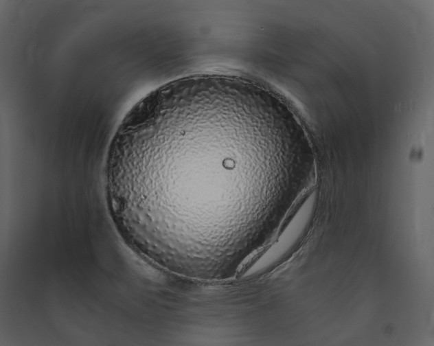 X0000089951471200707131505