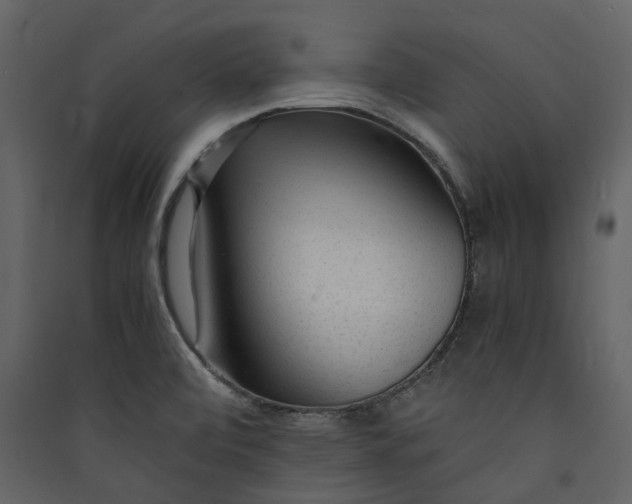 X0000089951472200707131505