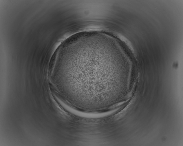 X0000089951473200707131505