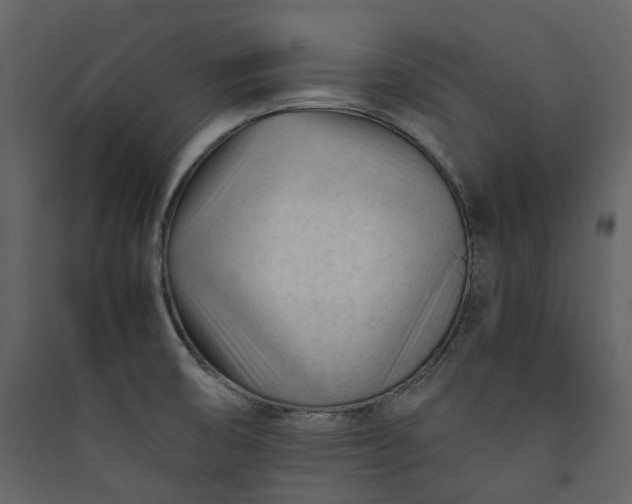X0000089951474200707131505