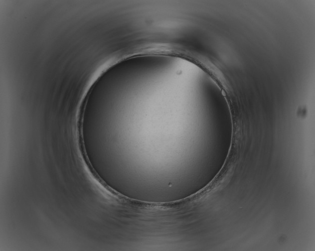X0000089951475200707131505