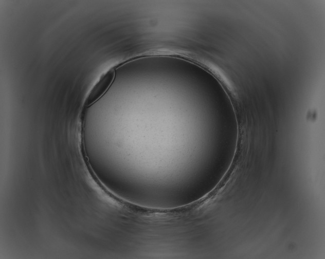 X0000089951476200707131505