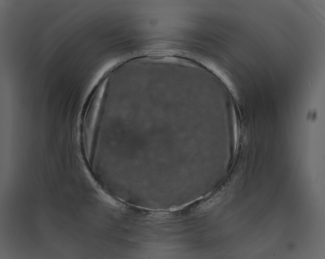 X0000089951477200707131505