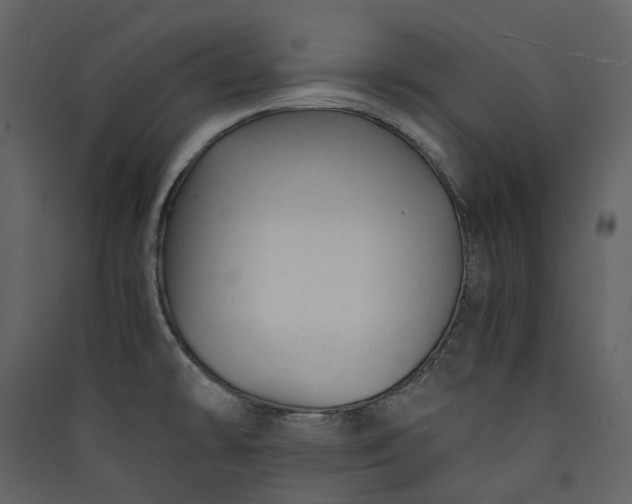 X0000089951478200707131505