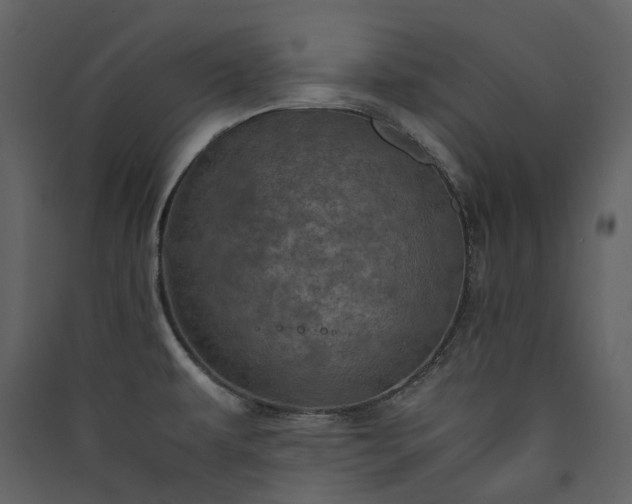 X0000089951479200707131505