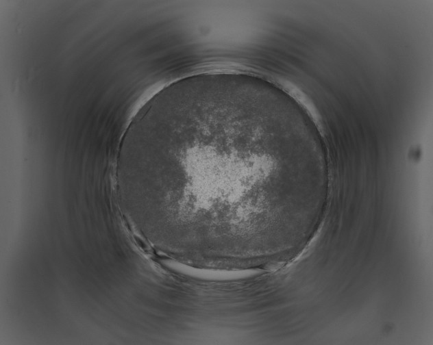 X0000089951481200707131505