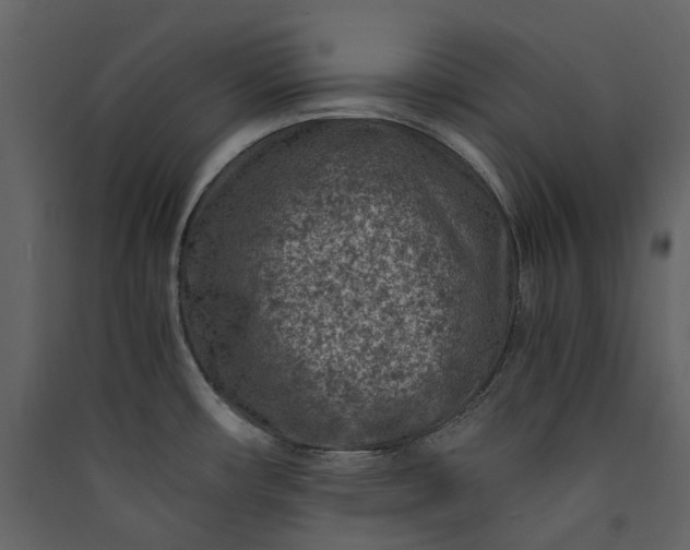X0000089951482200707131505