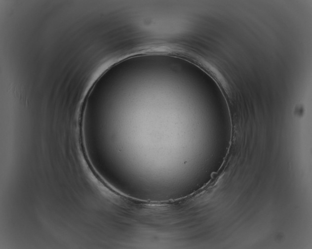 X0000089951483200707131505