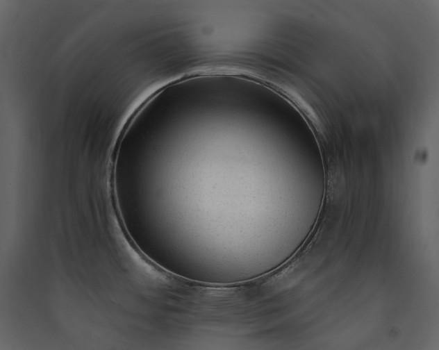 X0000089951484200707131505