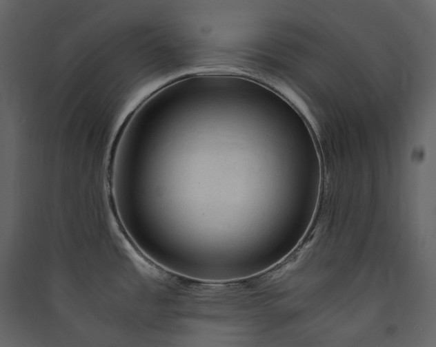 X0000089951485200707131505