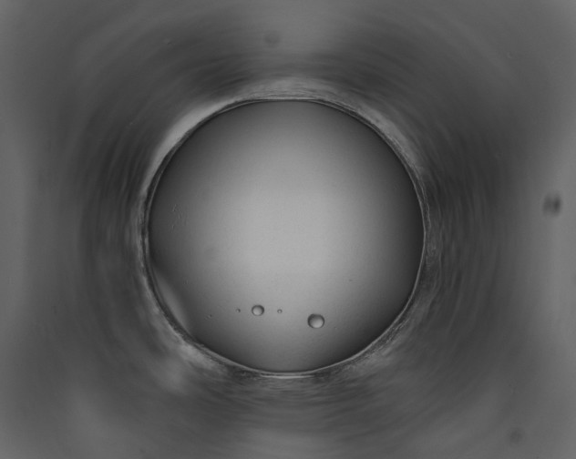 X0000089951486200707131505