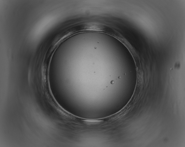 X0000089951487200707131505