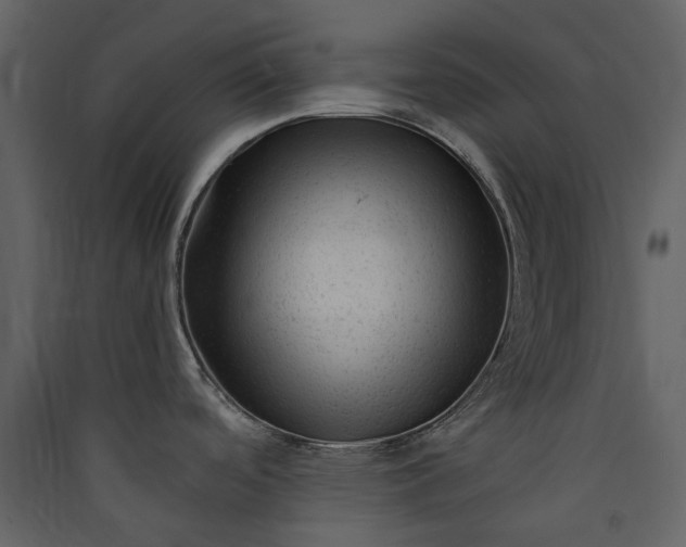X0000089951488200707131505