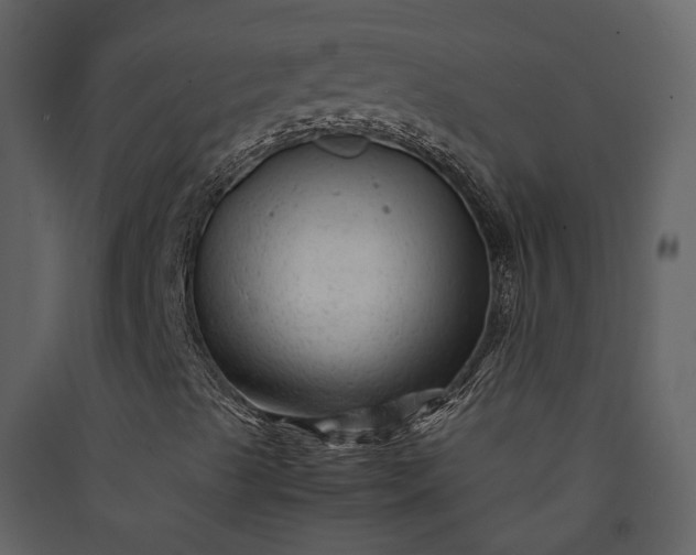 X0000089951489200707131504