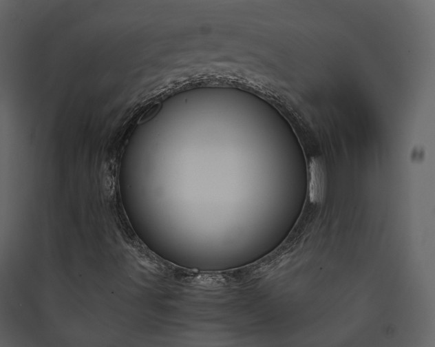 X0000089951491200707131504