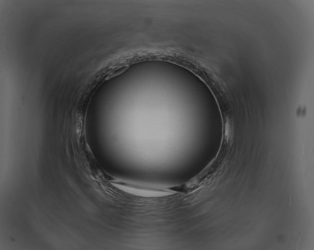 X0000089951492200707131504