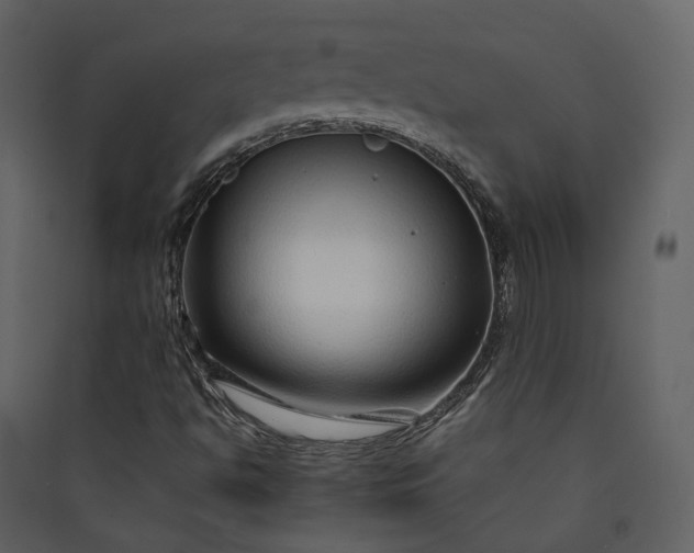 X0000089951494200707131504