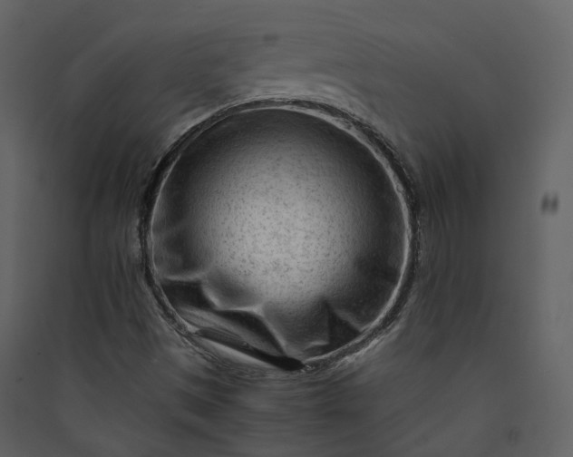 X0000089951497200707131504