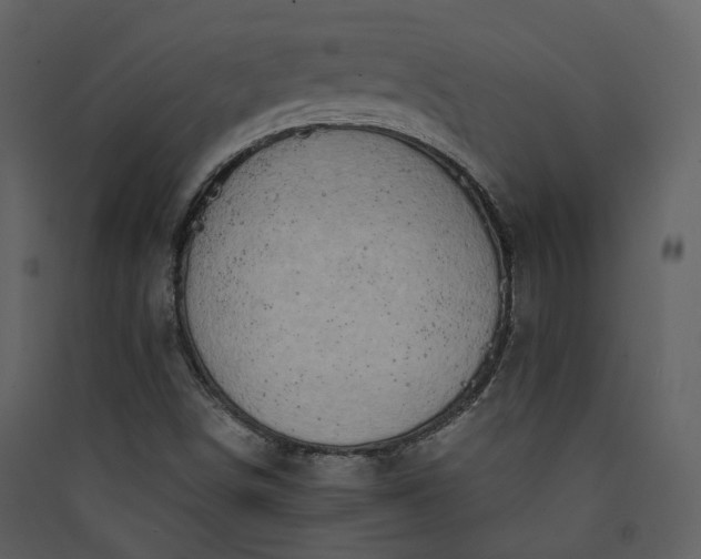 X0000089951498200707131504