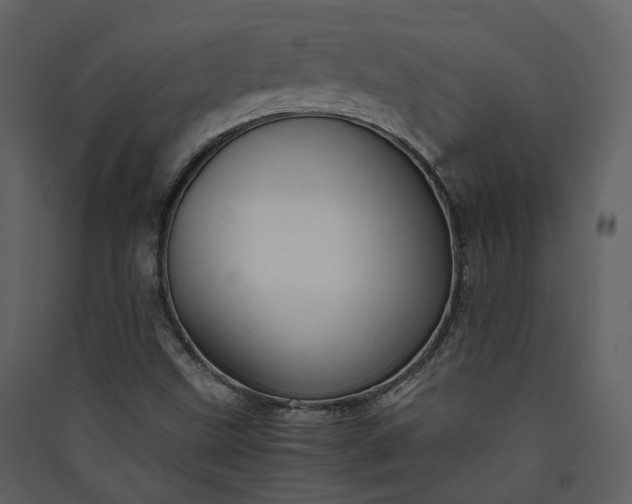 X0000089951499200707131504